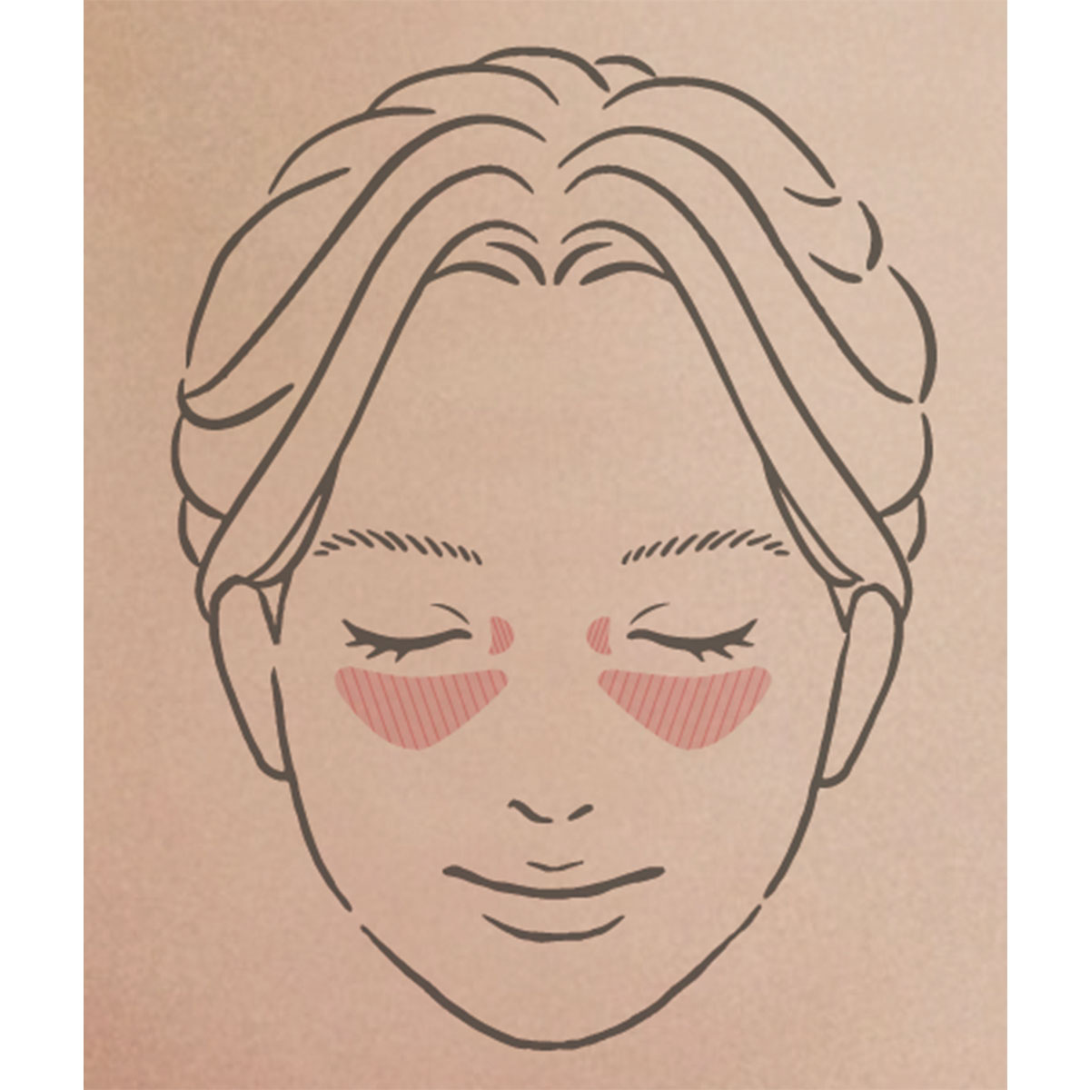 ハイライトを塗る場所のイラスト