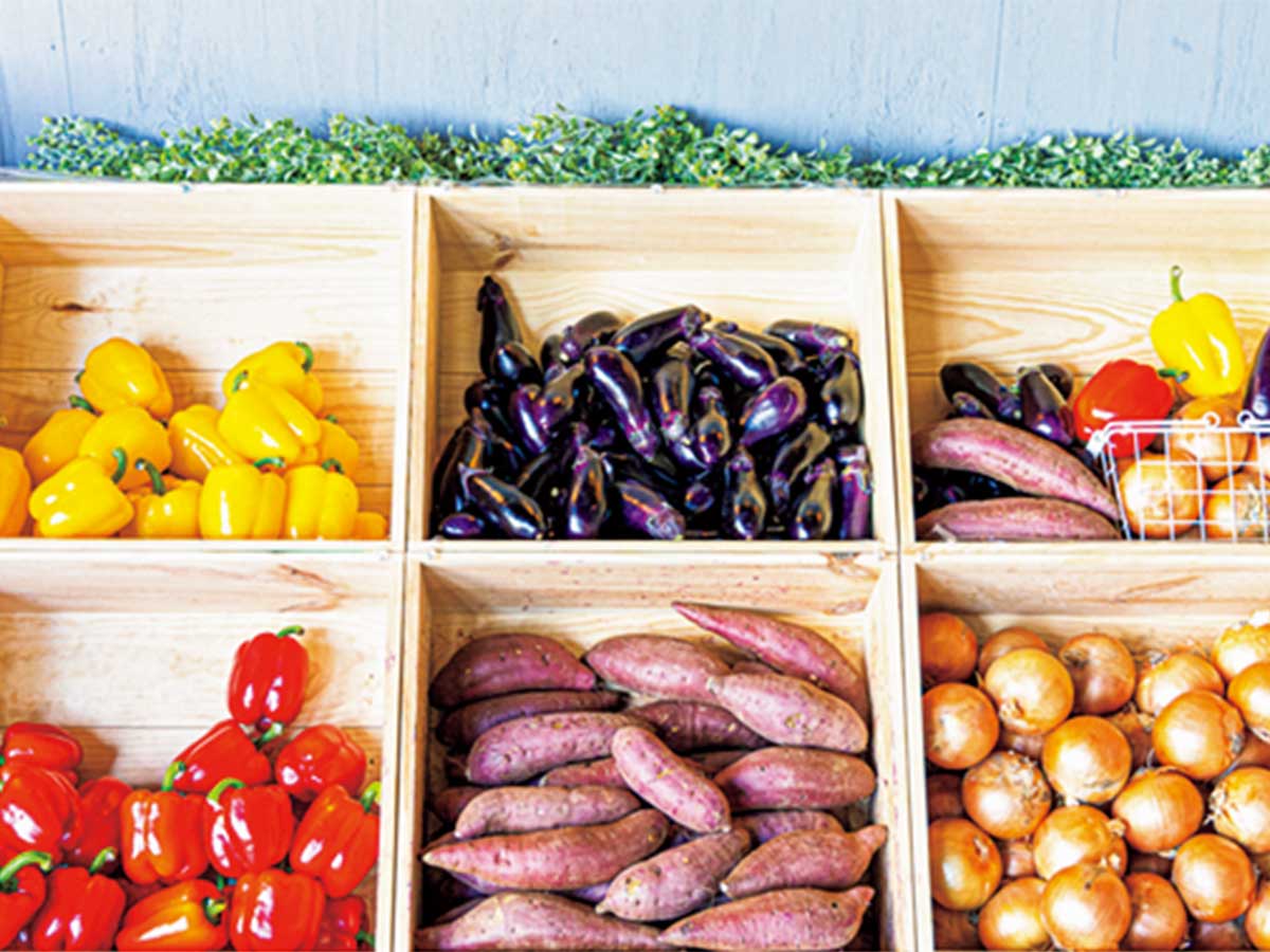 旬野菜がバスケットにずらりと並ぶ