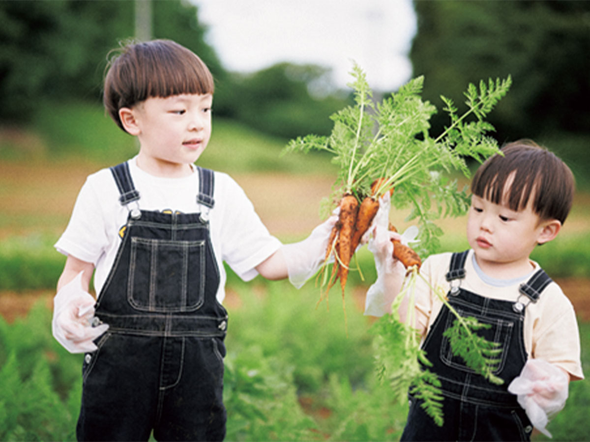 野菜の収穫体験もできる