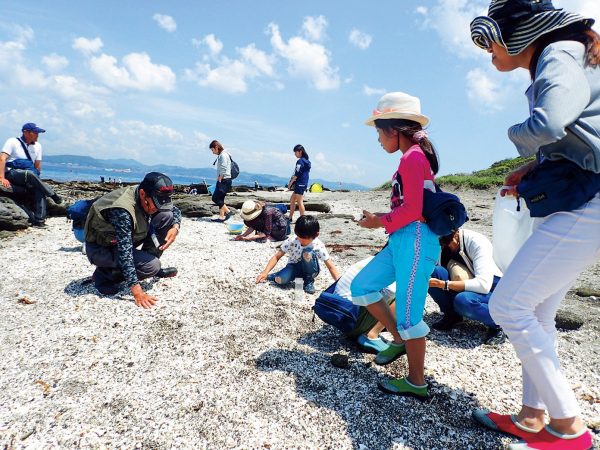 千葉県館山市の無人島「沖ノ島」でビーチコーミングを行う様子