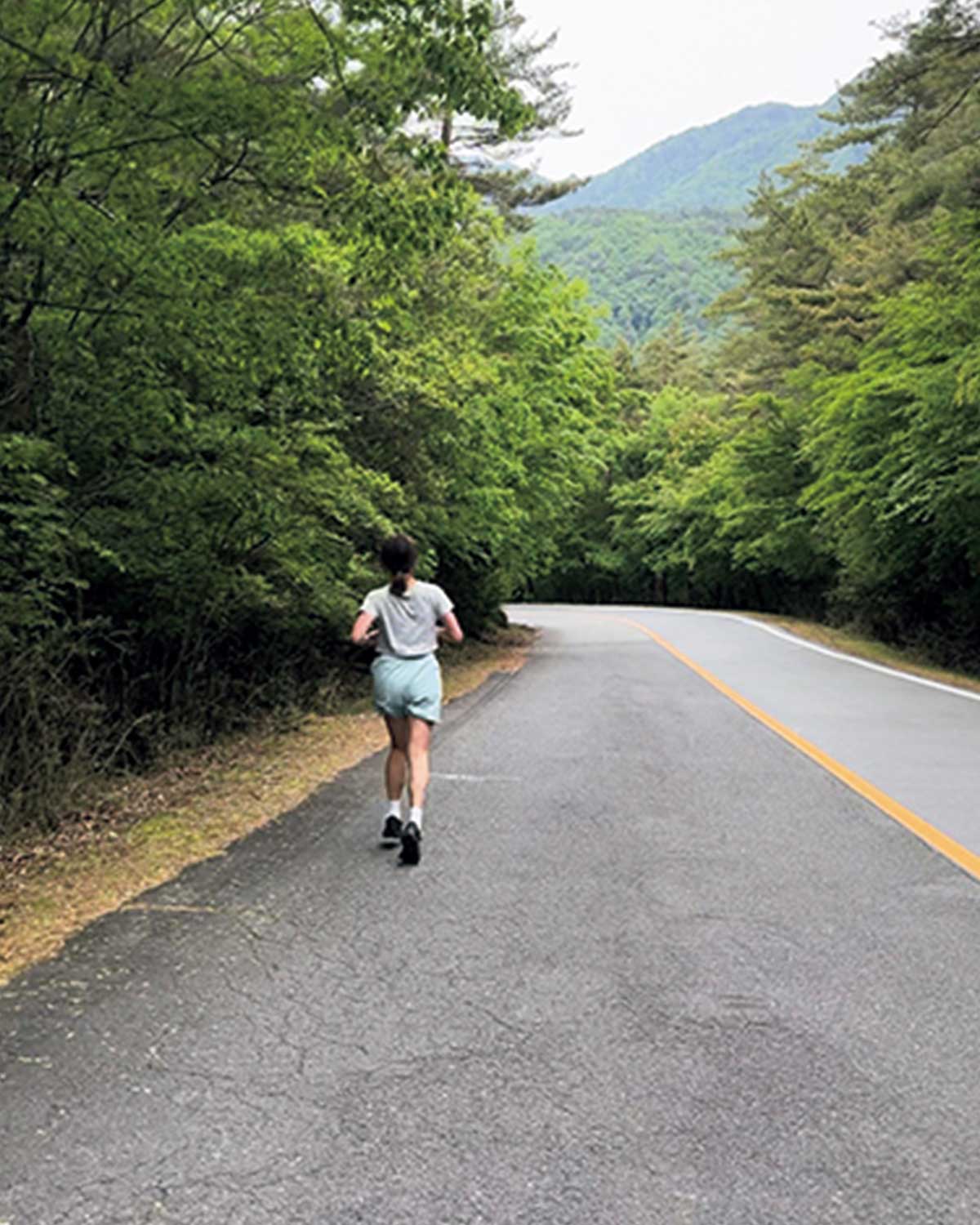 車だと一瞬で通り過ぎてしまうけ