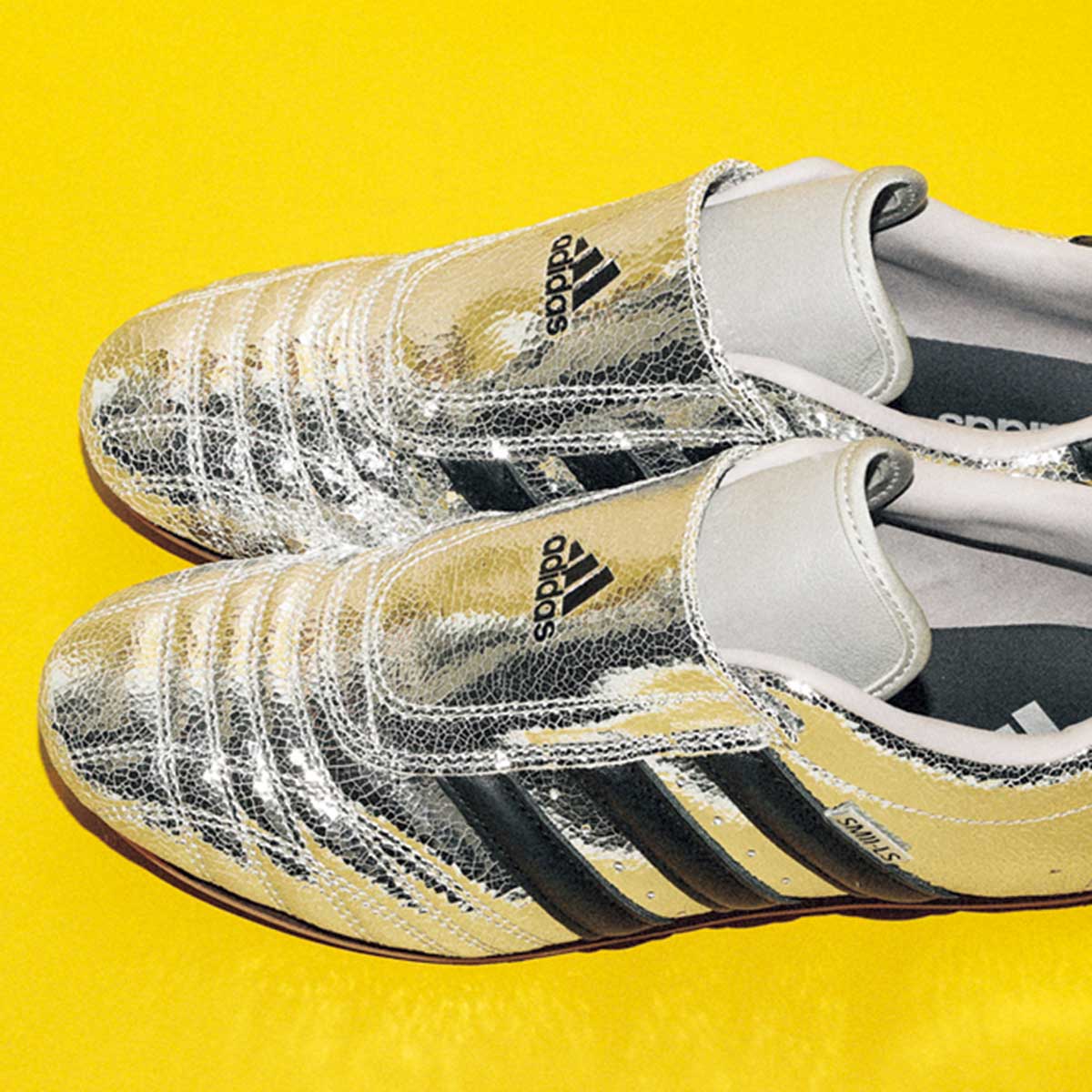 adidasのテコンドー