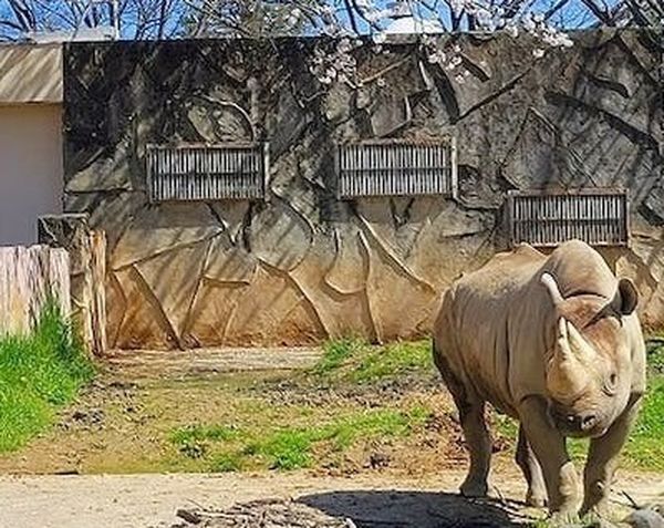 日立市かみね動物園