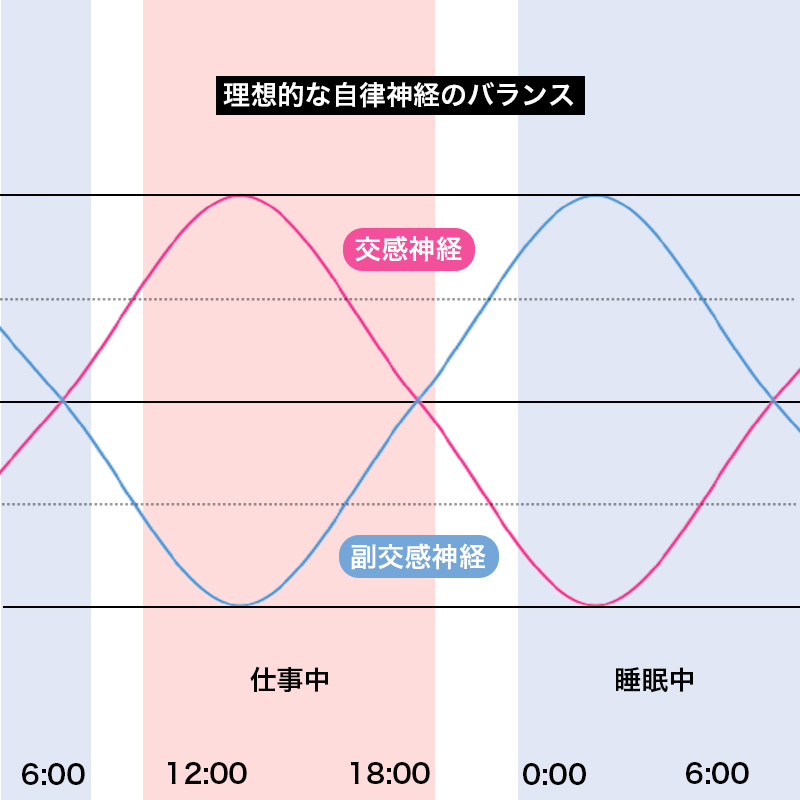 我々の脳は体内のさまざまな部位