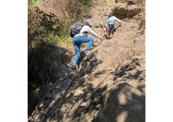 ストレッチ性の高いパンツで山登り。