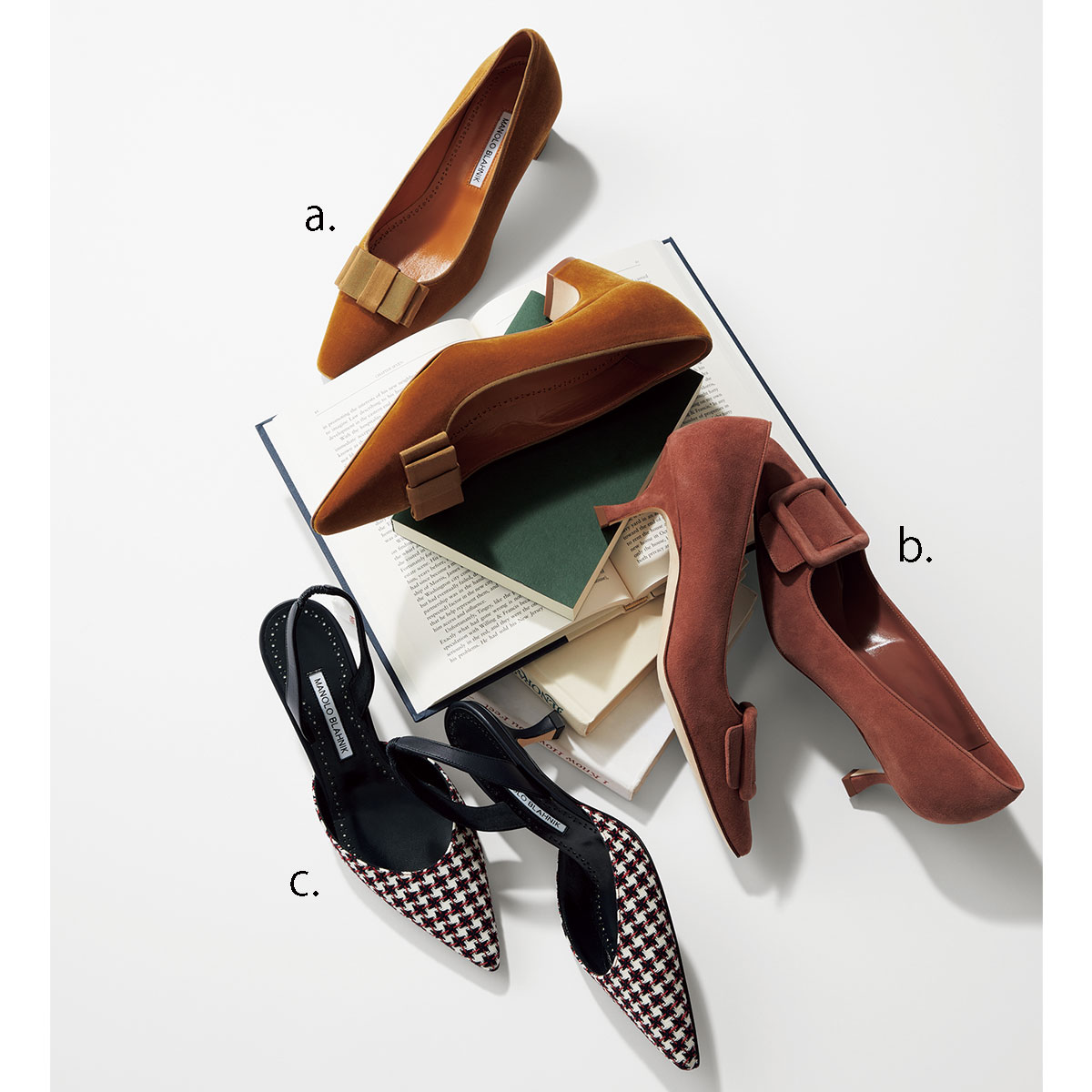 マノロ ブラニクのパンプス