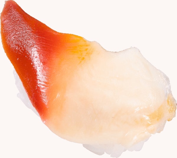 かっぱ寿司の「ほっき貝」