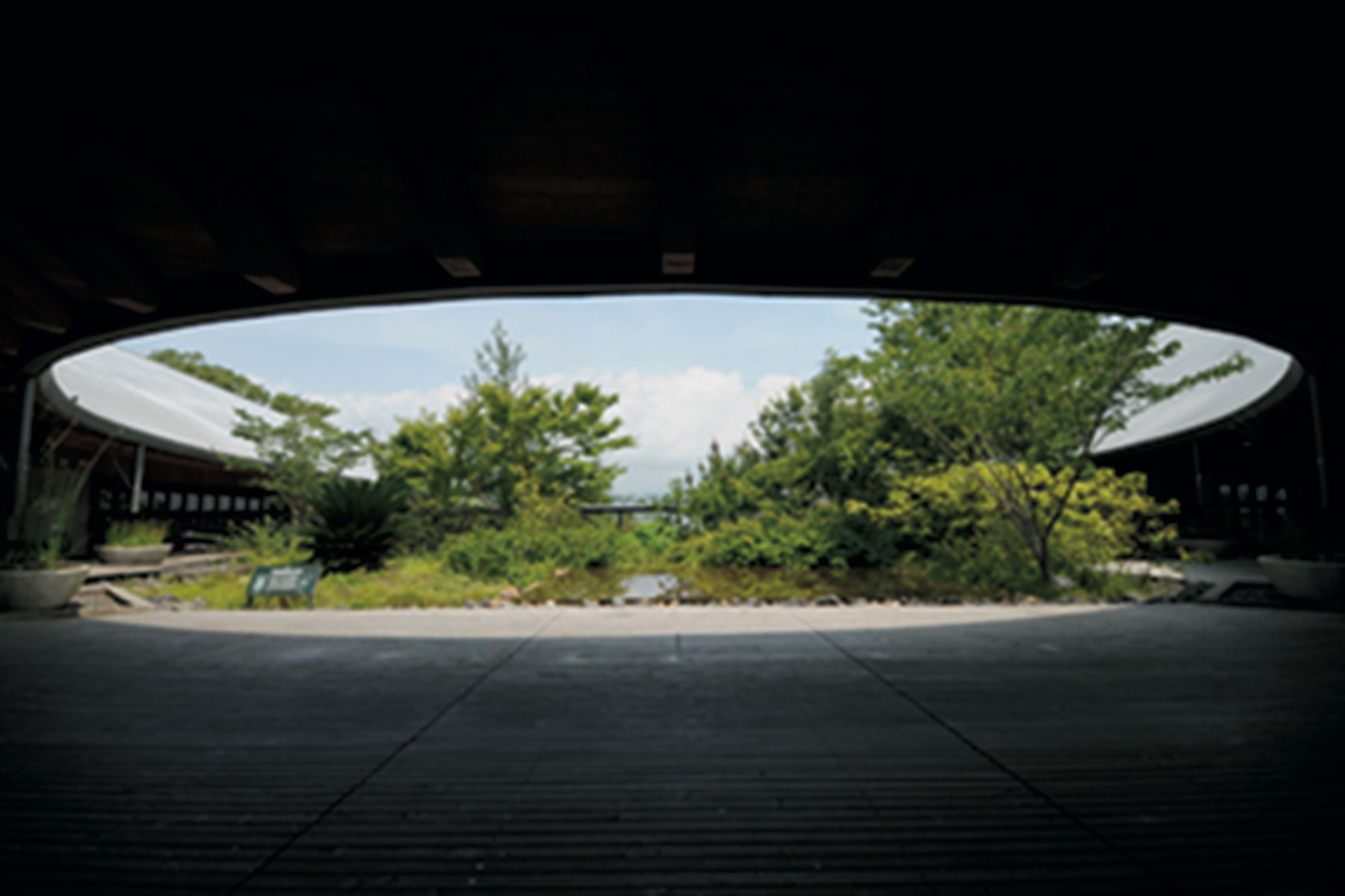 高知県立 牧野植物園 「植物学