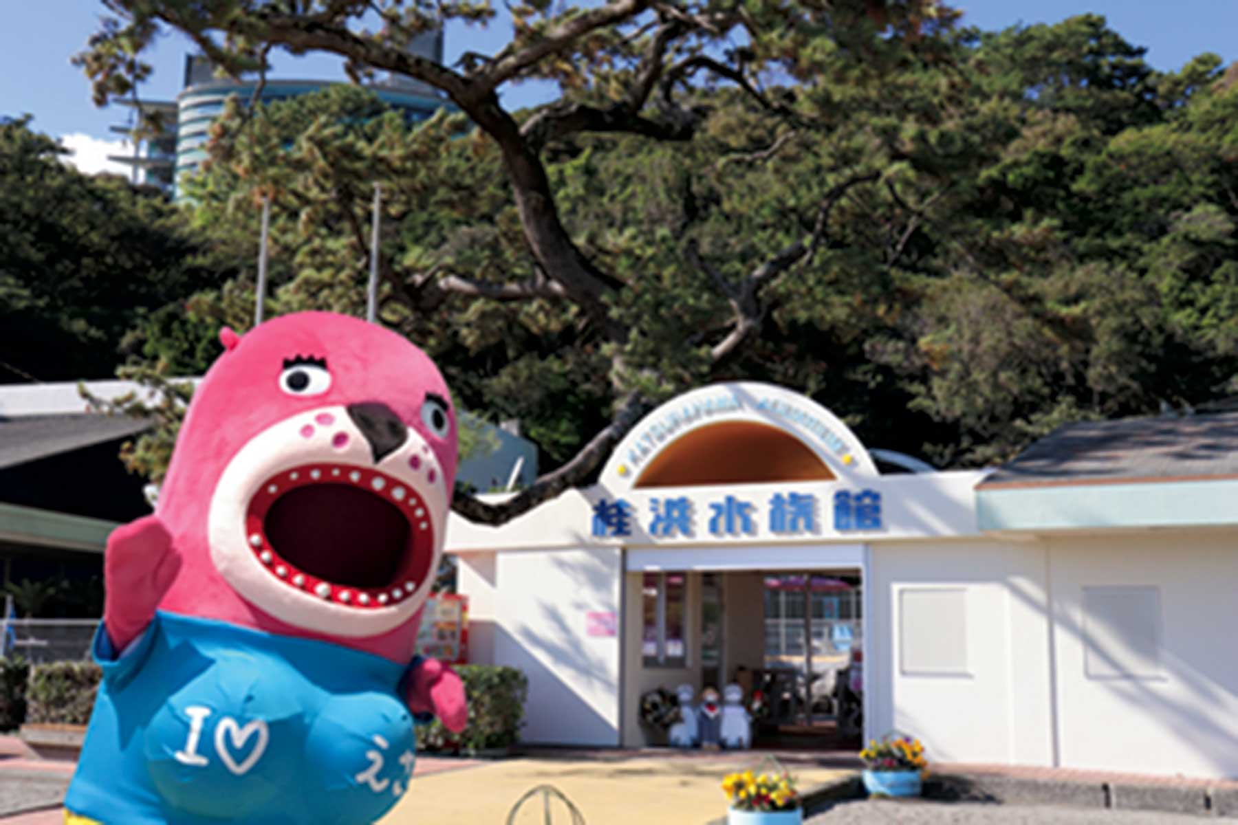 桂浜水族館 景勝・桂浜の浜辺に