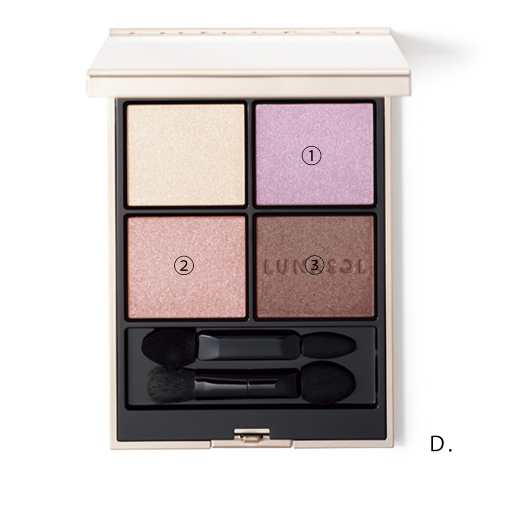 ルナソル アイカラーレーションN 19