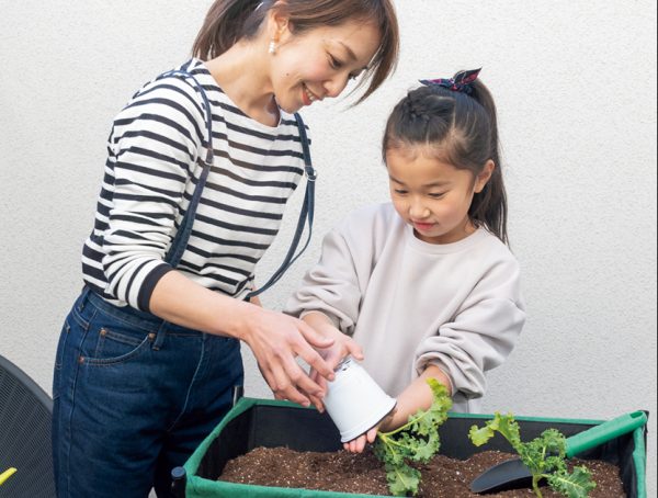 ベランダでの家庭菜園シーン。親子で野菜の苗をポットから外しているシーン。