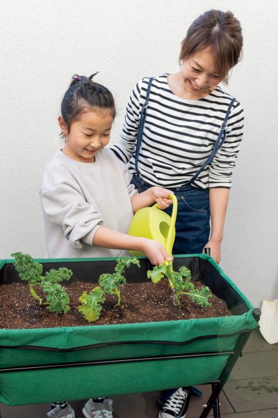 カーリーケールの苗を植え終わった後、じょうろで水やりをする親子のシーン。