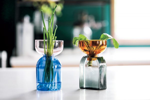 バイカラーのガラスの容器2種にベジラボを飾っている写真