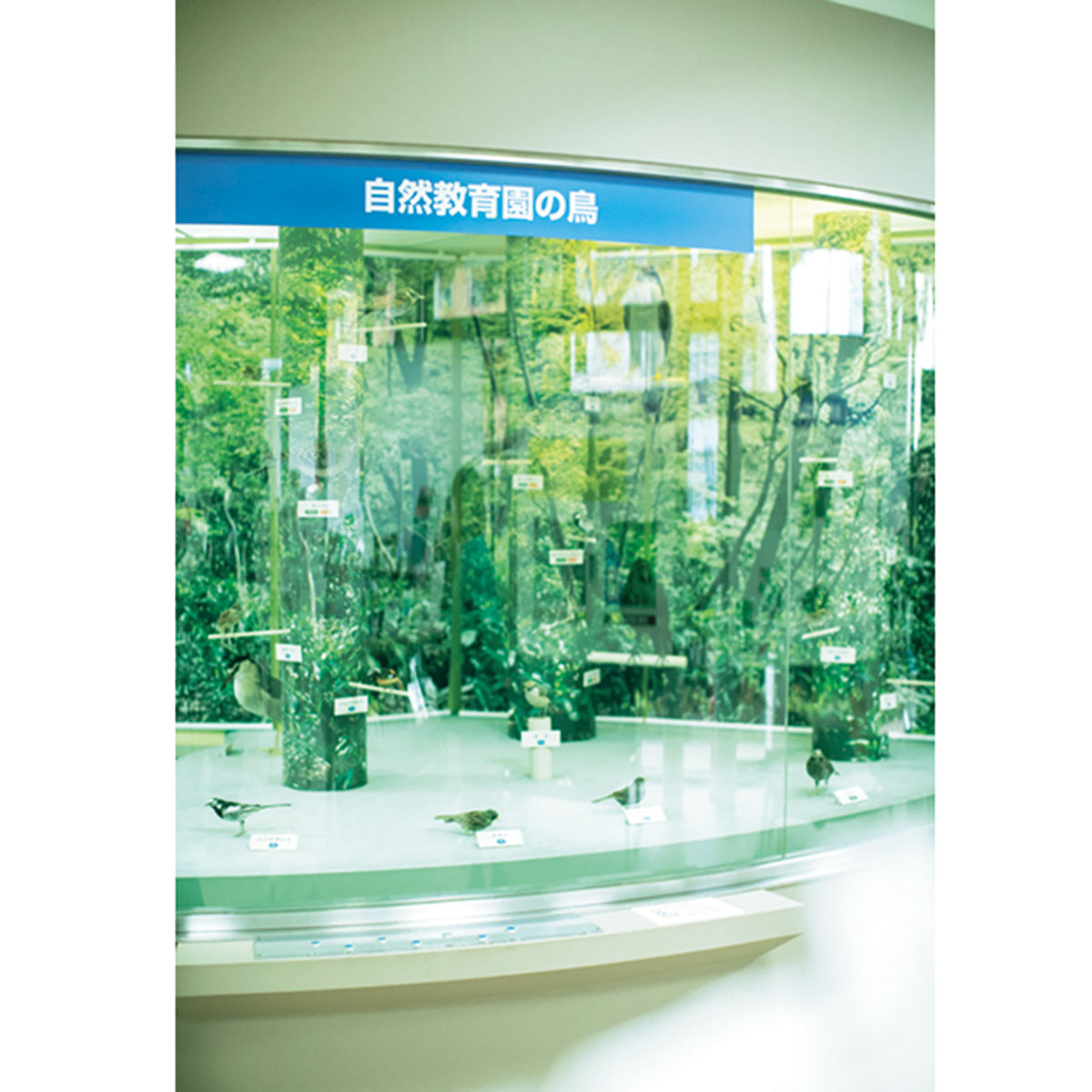 入口すぐの展示ホール