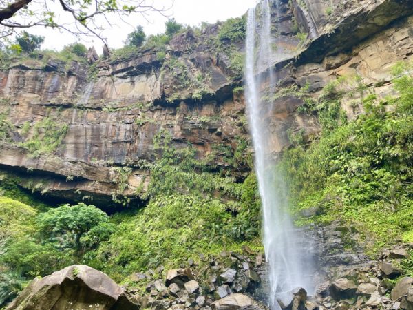 西表島　ピナイサーラの滝