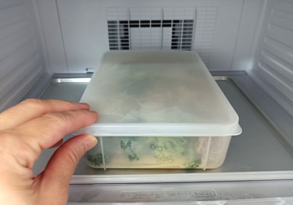 セリア「立てて置ける保存容器」に作り置きおかずを入れ、平置き冷凍する図