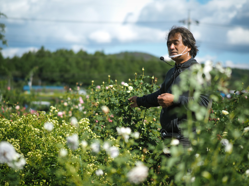 より詳しく薔薇の事を知りたい方