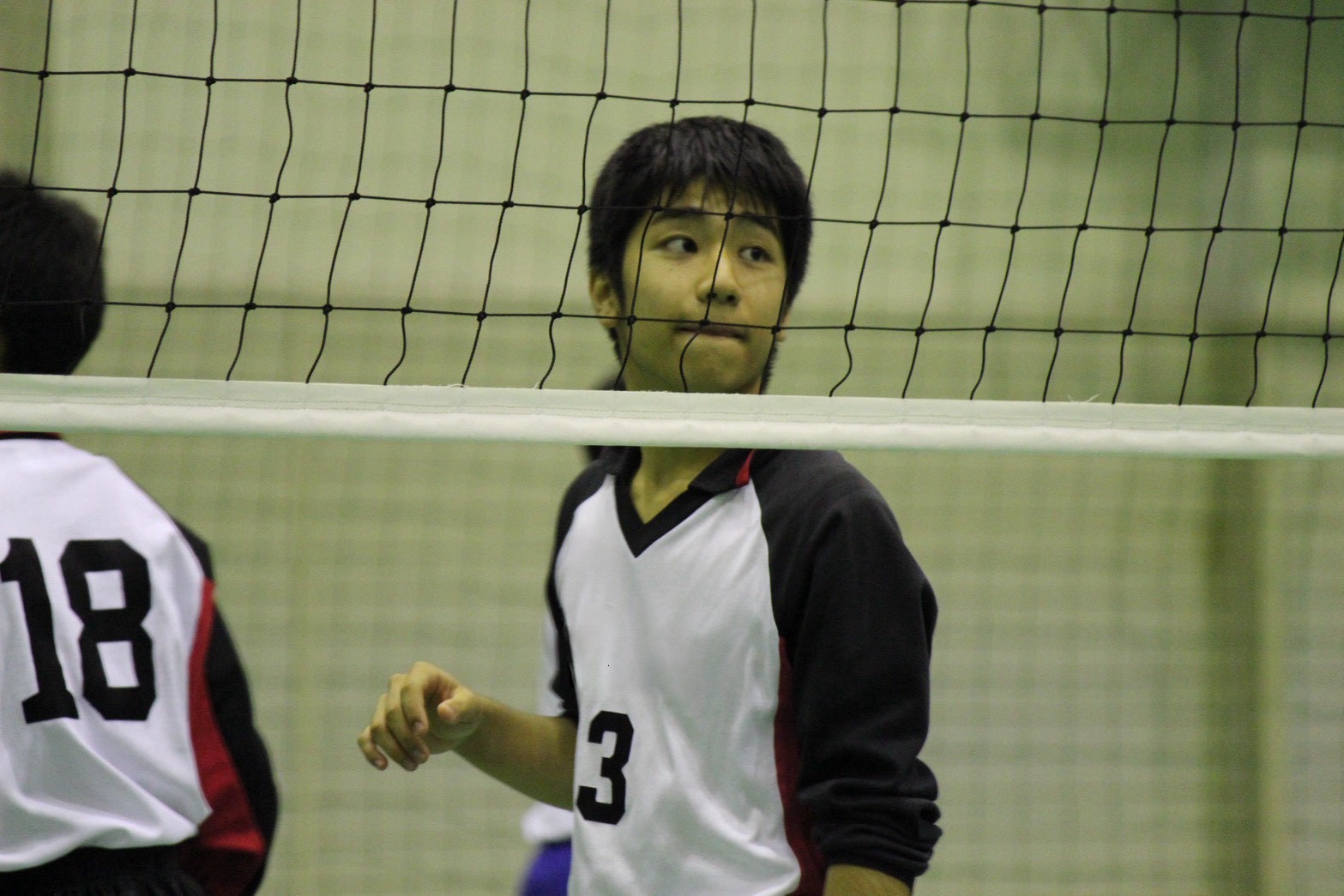 2026/05/S__85876751.jpg