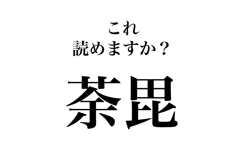 最初は「荼毘に付す」などと使う