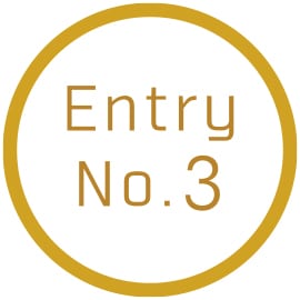 Entry No.3