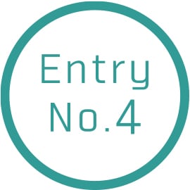 Entry No.4