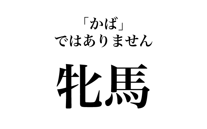 最初は、「牝馬」です。「牝」は