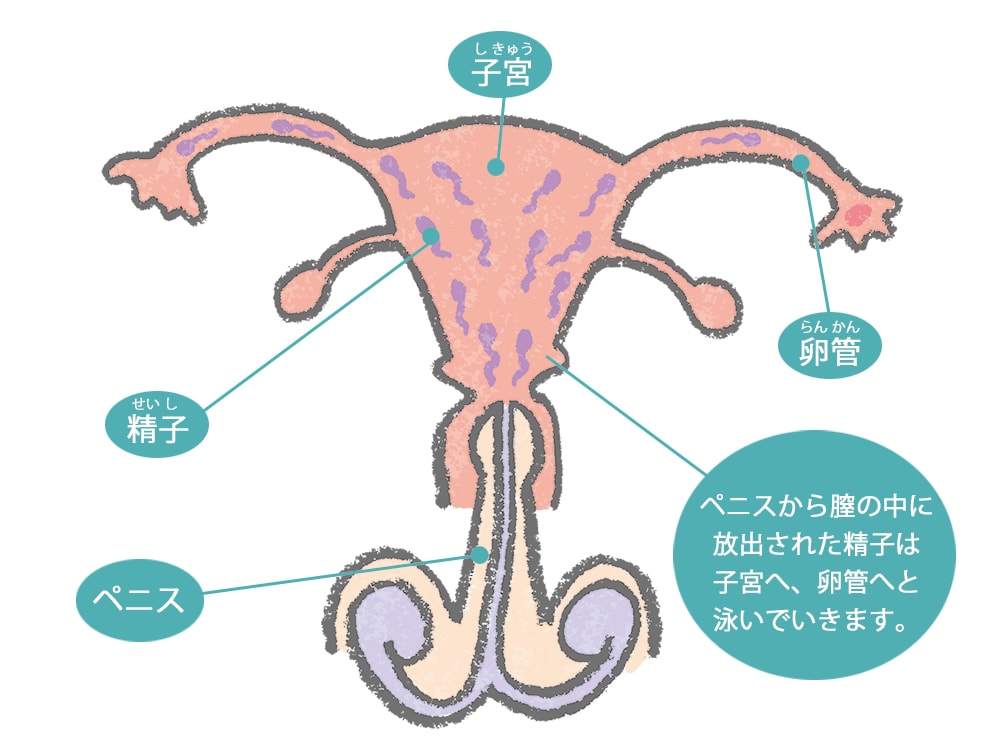問題は口頭運動能力の問題ですか?