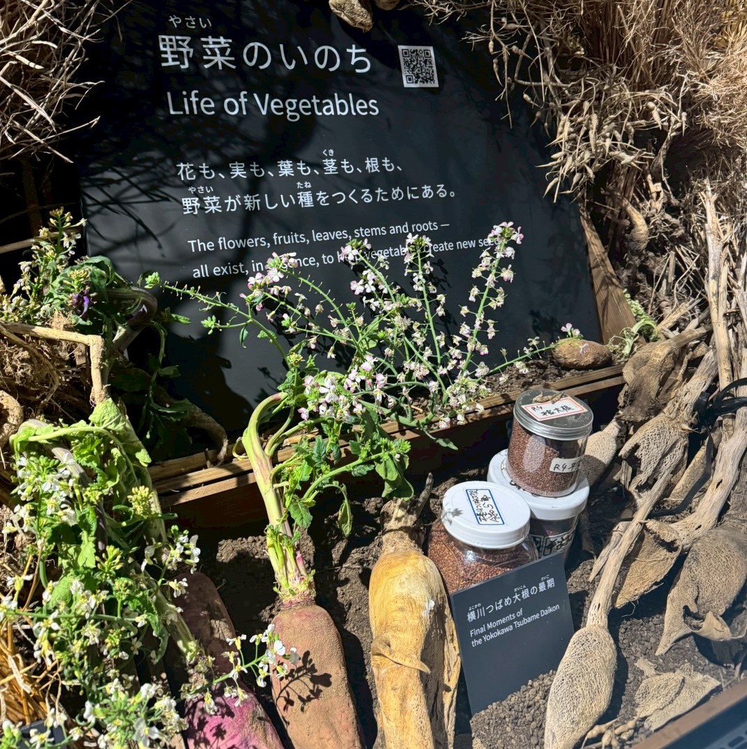 大阪関西万博小山薫堂パビリオン