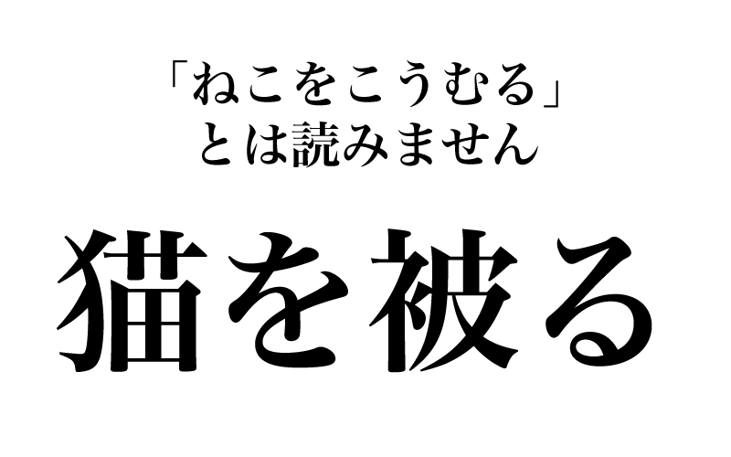 次は、慣用句である「猫を被る」