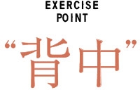 EXERCISE POINT 背中