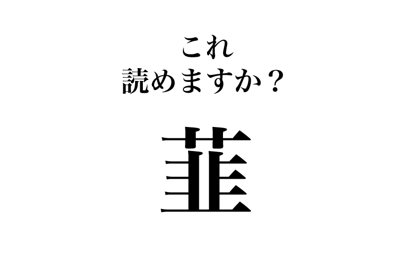 最後は「韮」です。今度は、陸地