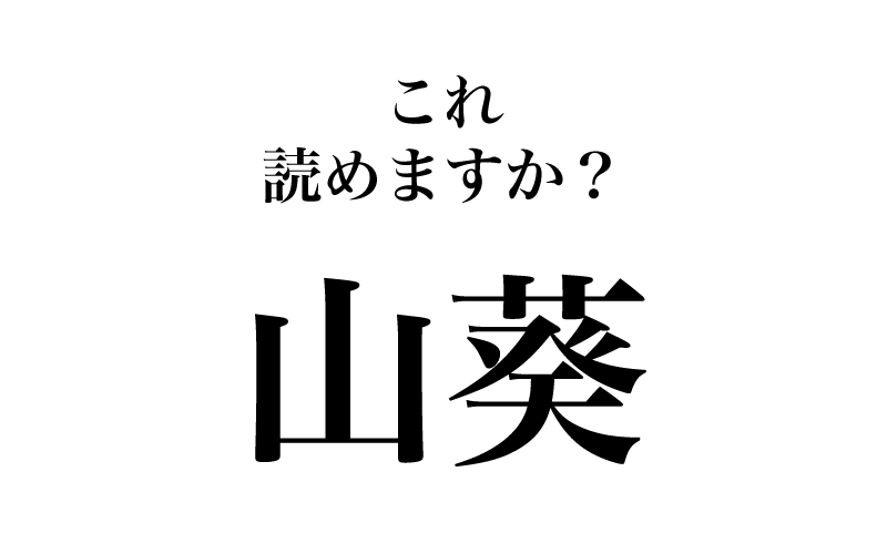 最初は「山葵」です。何と読むで