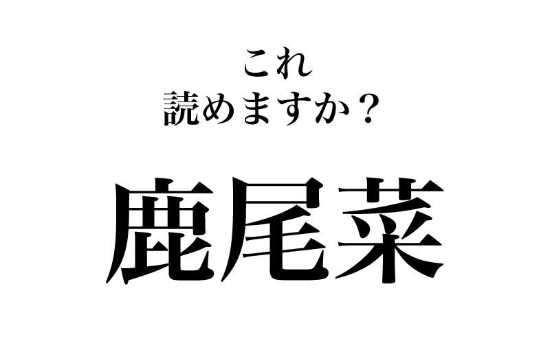 次は「鹿尾菜」です。何て読むで