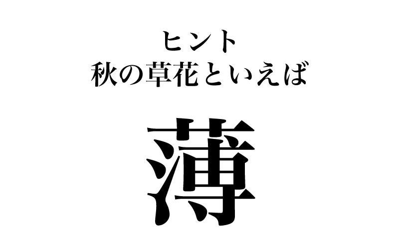 最初は「薄」です。常用漢字表で