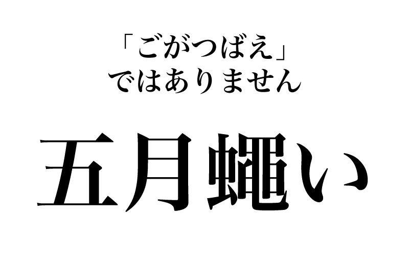 「五」からは、「騒音が五月蠅い